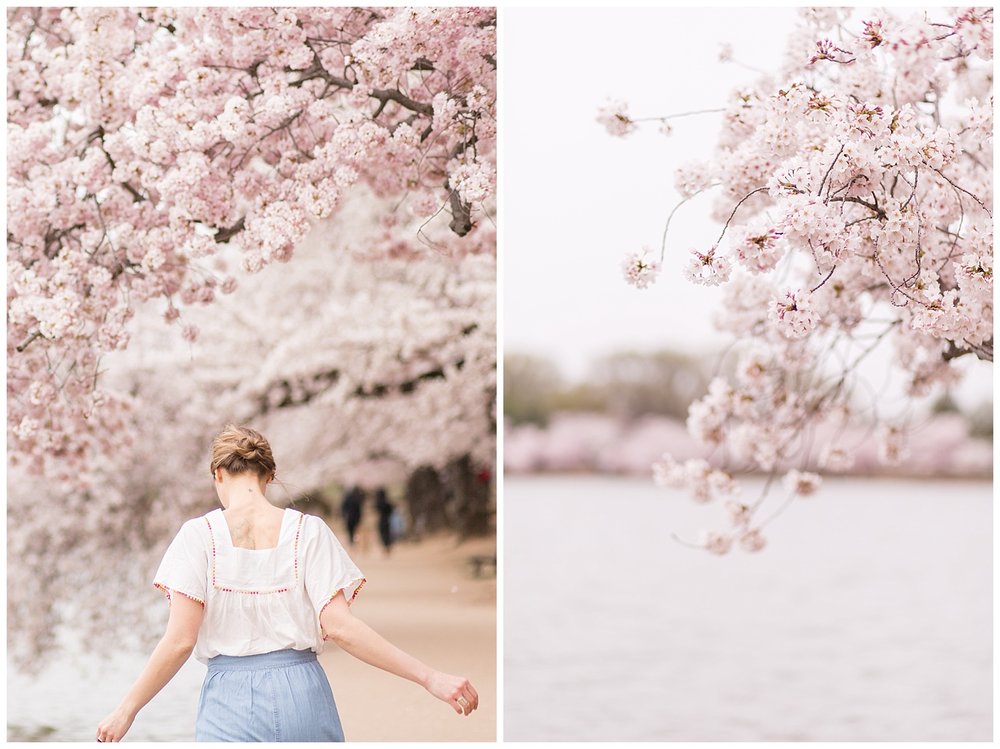 emily-belson-photography-cherry-blossom-dc-jessica-09.jpg