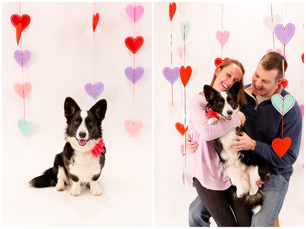 emily-belson-photography-couple-dog-valentine-photoshoot-04.jpg