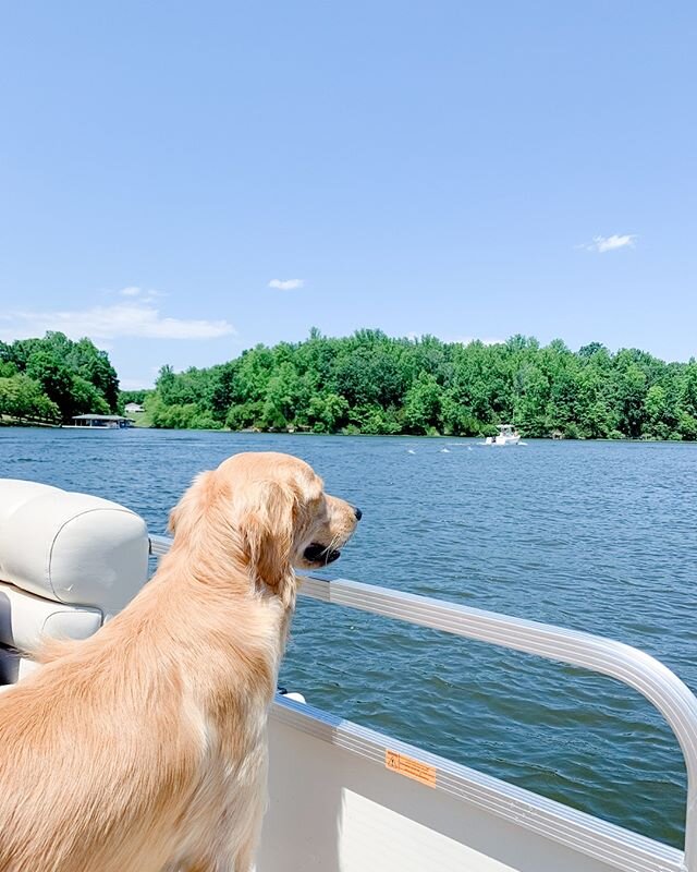 It&rsquo;s officially summer break around here!! ☀️Patrick finished teaching yesterday so we are living our best final-summer-before-baby life. It&rsquo;s times like this I&rsquo;m especially grateful that I can do my job from anywhere 🌎 (Thanks for snapping the cutest Coach pics last weekend Auntie @molliebelson!)