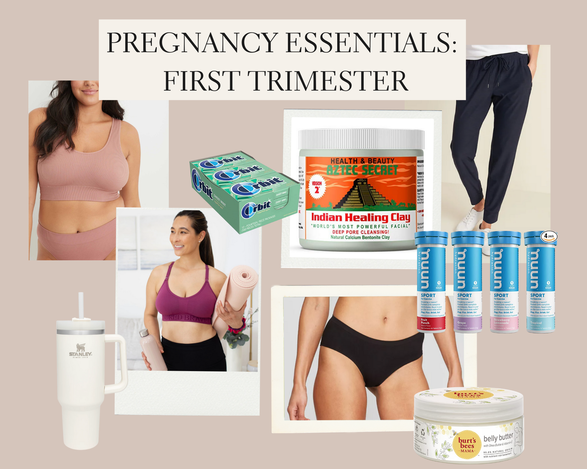 pregnancy survival guide first trimester